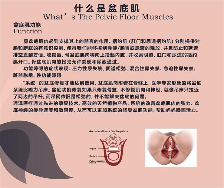 盆底肌修復(fù)儀器，能用于骨盆修復(fù)嗎？