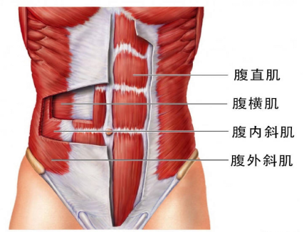 腹直肌分離，它附近的肌肉是什么？
