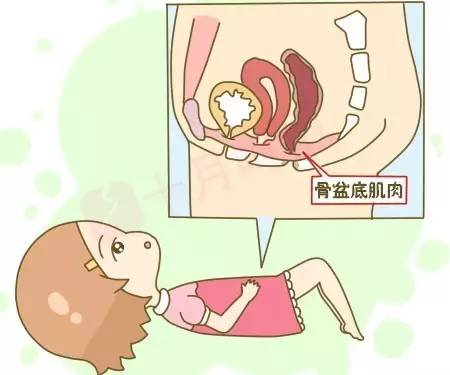 盆底康復(fù)治療有用嗎？為什么要做盆底肌修復(fù)？